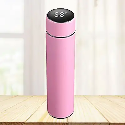 Vacuum Flask with Led Temperature Display