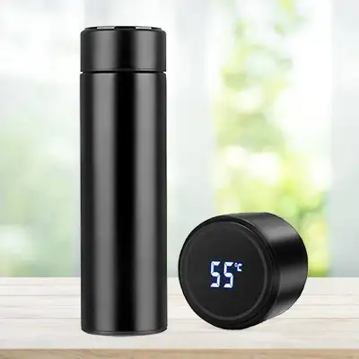 Water Bottle with Temperature Display
