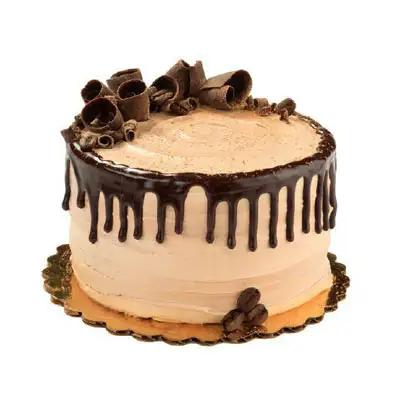 Coffee Mocha Cake