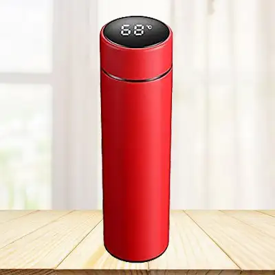 Vacuum Flask Led Temperature display