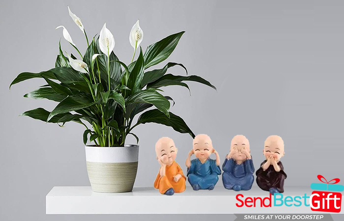 Assuring-Lily-of-Peace-with-Adorable-Monks