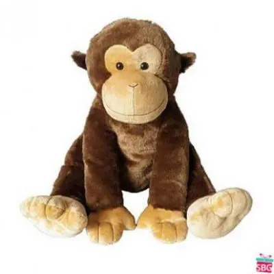 monkey teddy