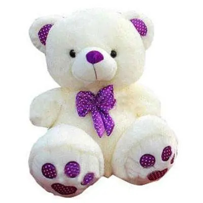 purple teddy