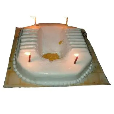 World Toilet Day 2014 Celebrated With Cake Shaped Like an Indian Style  Toilet