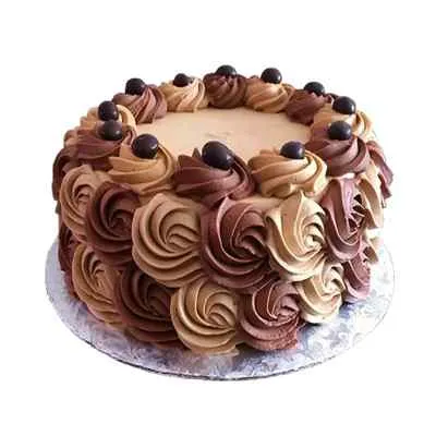 Light Chocolate Cake – Baking Bond Bakery